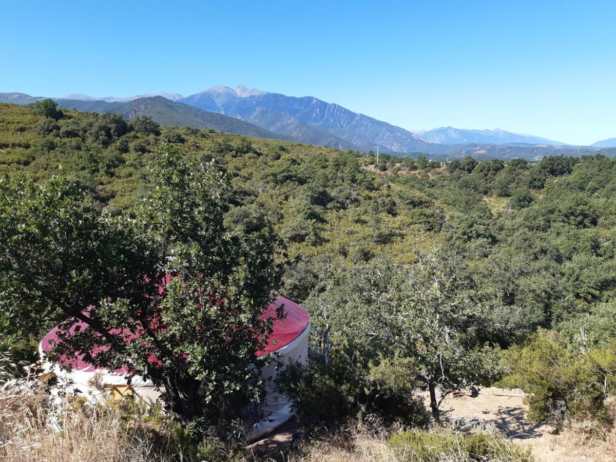 Yourte Contemporaine Avec Magnifique Vue Sur Les Montagnes Rigarda ภายนอก รูปภาพ